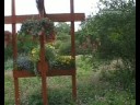 Blumenstadt