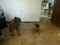 videos de reggaeton de sailin