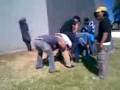 Burro castigado UTT