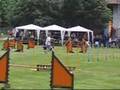 agility Maribor 19.05.2007