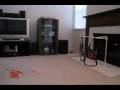 videos de Nerf Dart Guns in Action