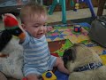 Baby morgan and pug