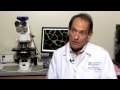 Jerry Mendell, MD, on muscular dystrophy research