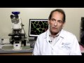 Jerry Mendell, MD, discusses ongoing muscular dystrophy research efforts at The Research Institute