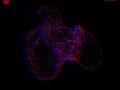3D Pickover Attractor
