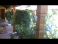 A brief tour of the Casa Amarilla, Mompos, Colombia.