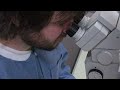 Restoring Breathing After Spinal Cord Injury
