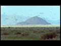 Plagues of Locusts - Wild Africa - BBC Locust
