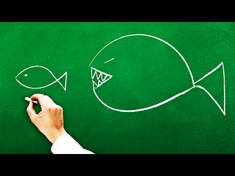 Schaffst du diese 6 Rätsel?