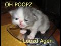 Lol Catz 2