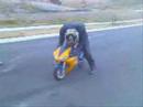 Imagen de previsualización de YouTube