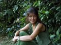 Complex mating rituals of chimpanzees in the jungle  - BBC wildlife