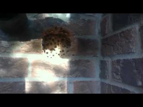 how to install dryer vent through brick