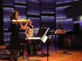 monica germino,amplified violin&distortion: Bagatellen Part6