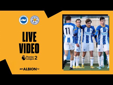 Brighton & Hove Albion x Leicester City