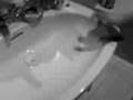 videos de Tech Deck KickFlip