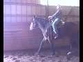 GHENGIS 1 GHENGIS 1
