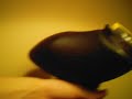 made a speed fead out of a pringles can lid for my gravity fead hopper