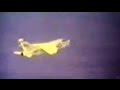 Naval Air Combat Mission Vietnam