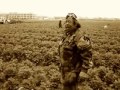 Farm Workers
