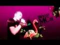 FLAMINGO NIGHTS - OFFICIAL PROMO