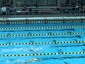 100FLY