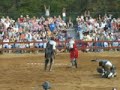retransmision del torneo medieval en renaissance festival 2