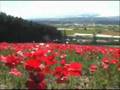 ♡ Lohe Maryam ♡ لو ح مریم ♡ Tablet of Baha'u'llah ♪♥ حضرت بهاءالله♪