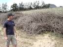 Wikus on Composting