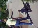 Arbors 2
