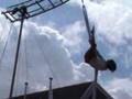 videos de Straattheaterfestival De Ronde Venen