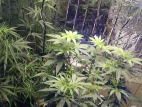 how to vent a hps light
