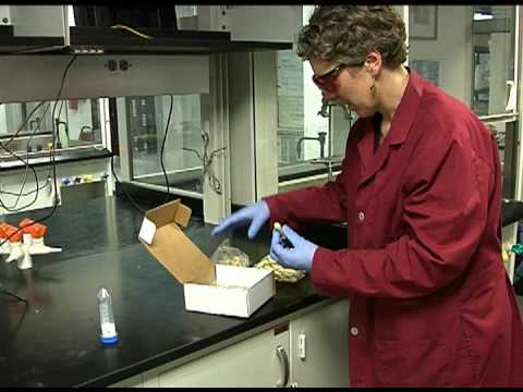 how to isolate caffeine from tea