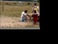 Australian shepherd, Herding instinct 4 month (mois)