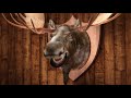 See Video