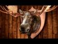 Moose