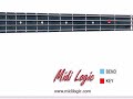 Bee Gees You Should Be Dancin Night Fever Bass Lesson Bee Gees You Should Be Dancin Night Fever Bass Lesson
