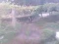 cross covelas2