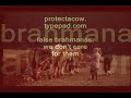 See Video