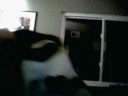 Kitty eats my head