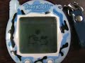 tamagotchi tamagotchi