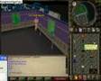 9 hitpoints account on runescape (9/9 HP)
