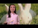 Forget Silly Old Politics.  Let's Talk About Bunnies!