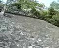 COBA(MEXICO 2008)