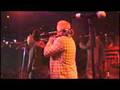 Swingin' Medallions - I Got You