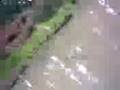 kid slips off log with bike into river (Funny)