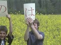 The Hiragana Song