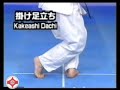 Kyokushin stances Kyokushin stances