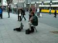 videos de Black jew ride and fucking beggar play!
