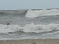 Surfers Up!!!
